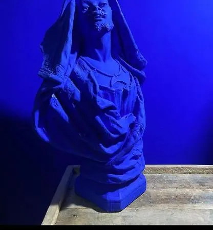 Chambres D'hotes Le Regent Bed & Breakfast 3*